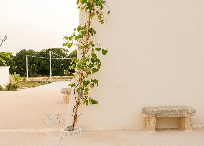 Borgo Santamarta 4* نوتشي