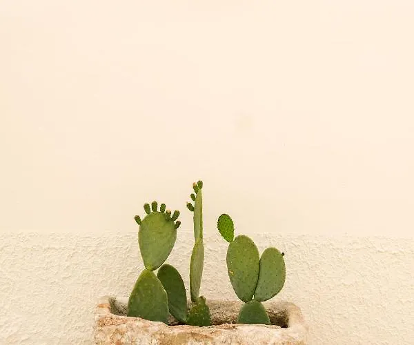 Borgo Santamarta شقة فندقية